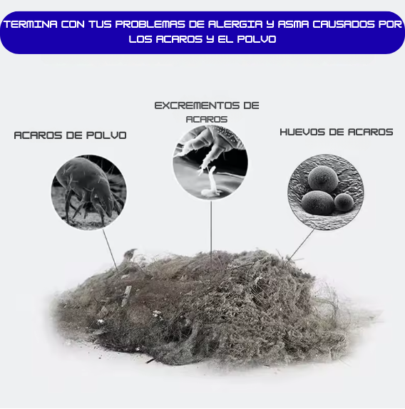 Aspirador de Ácaros 2 en 1. ¿Sufres de alergia? Respira mejor eliminando acaros de tu hogar