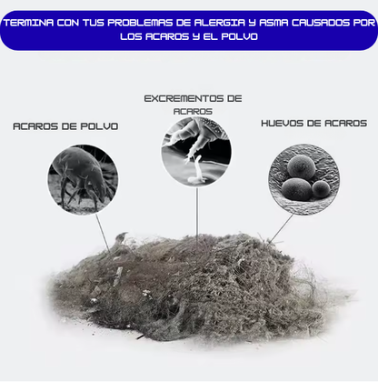 Aspirador de Ácaros 2 en 1. ¿Sufres de alergia? Respira mejor eliminando acaros de tu hogar